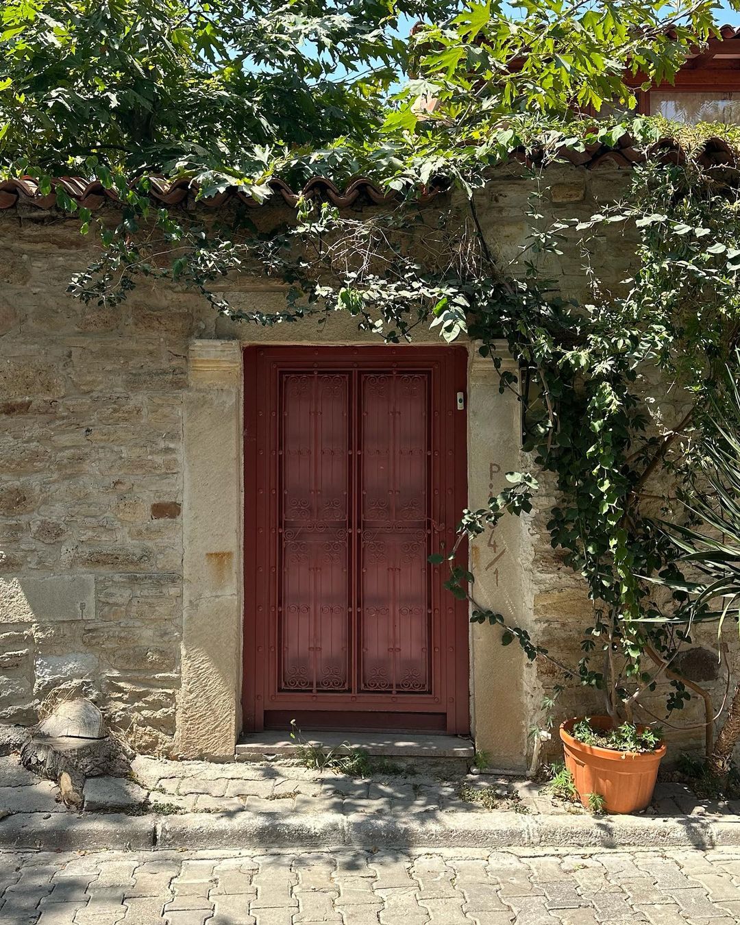 yenifoçada yaşanır mı