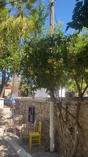 Yeni Foça 4 Ekim 2026
