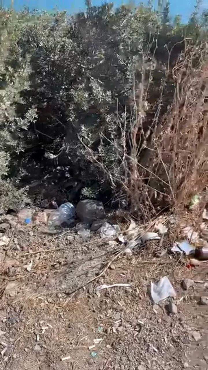 Yeni Foça Çöp Savarlar Alman Koyu’nda Temizlik Yaptı