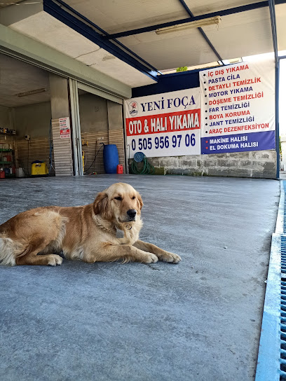 Yeni foça oto ve halı yıkama