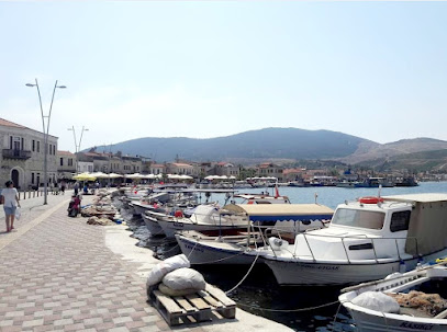 Yeni Foça Merkez Taksi
