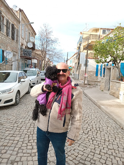 Sayar Emlak